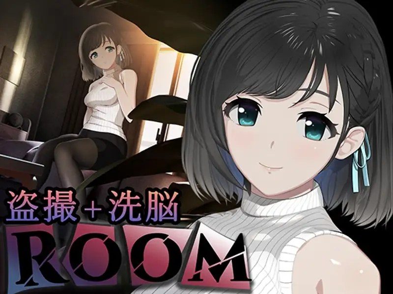 ROOM ROOM游戏论坛安装教程玩法解析 封面图